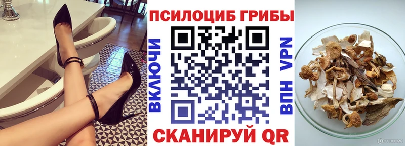 Псилоцибиновые грибы прущие грибы  Камышин 